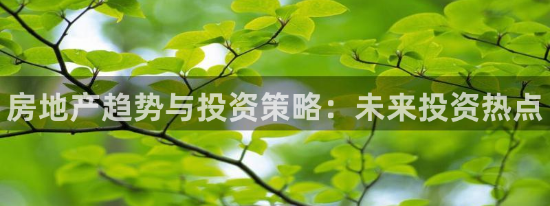 风暴娱乐网