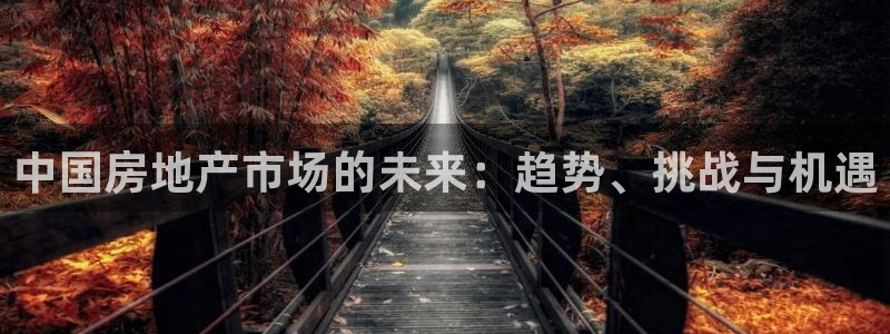 风暴娱乐客服：中国房地产市场的未来：趋势、挑战与机遇