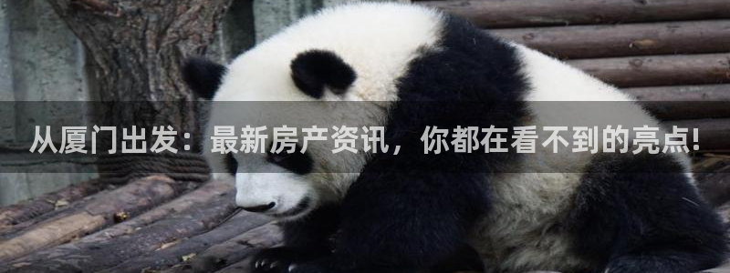 4120051风暴娱乐：从厦门出发：最新房产资讯，你都在看不