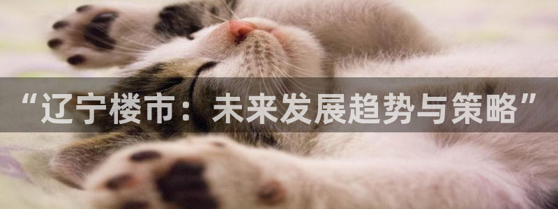 风暴娱乐求333OOa：“辽宁楼市：未来发展趋势与策略”