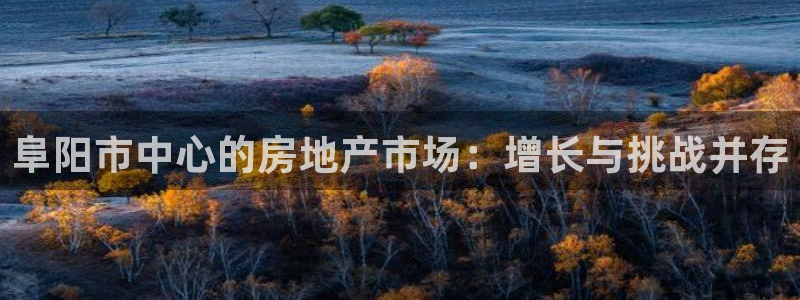 风暴娱乐右5指尖：阜阳市中心的房地产市场：增长与挑战并存
