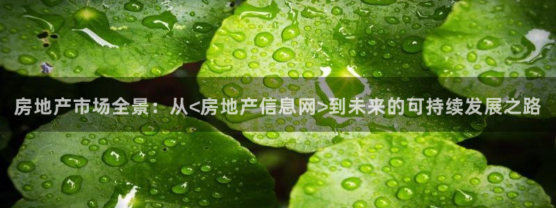 风暴娱乐下5指尖：房地产市场全景：从<房地产信息网>到未来的
