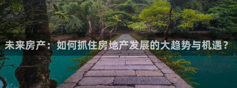 完美风暴 娱乐：未来房产：如何抓住房地产发展的大趋势与机遇？