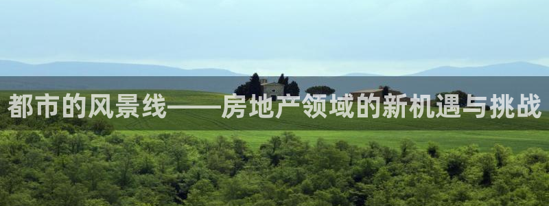 星风暴娱乐：都市的风景线——房地产领域的新机遇与挑战