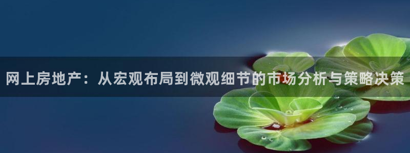 风暴娱乐右5指尖：网上房地产：从宏观布局到微观细节的市场分析