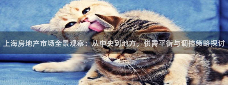 风暴娱乐：上海房地产市场全景观察：从中央到地方，供需平衡与调