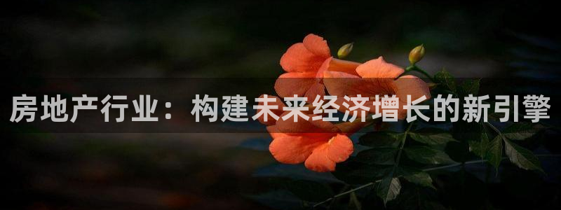 风暴娱乐下5指尖：房地产行业：构建未来经济增长的新引擎