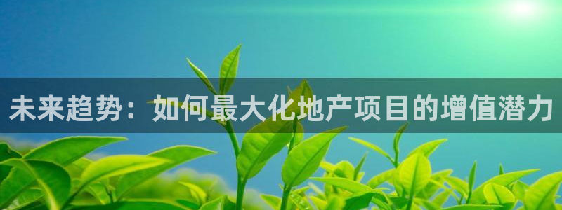 风暴娱乐汇：未来趋势：如何最大化地产项目的增值潜力