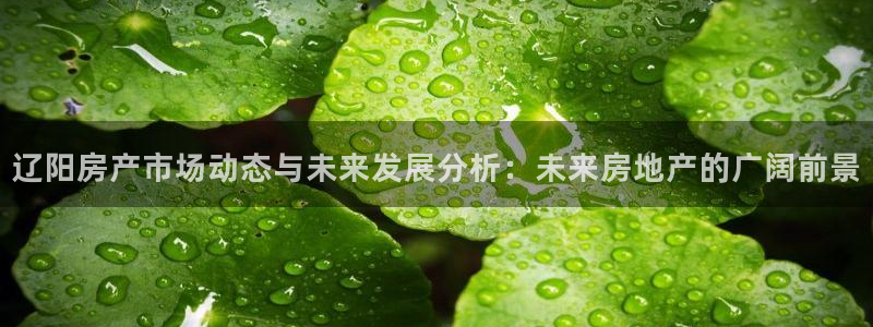 娱乐风暴港：辽阳房产市场动态与未来发展分析：未来房地产的广阔