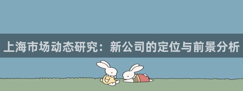 风暴娱乐记：上海市场动态研究：新公司的定位与前景分析