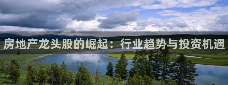 风暴娱乐代理登录：房地产龙头股的崛起：行业趋势与投资机遇