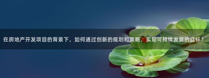 风暴平娱乐：在房地产开发项目的背景下，如何通过创新的规划和策