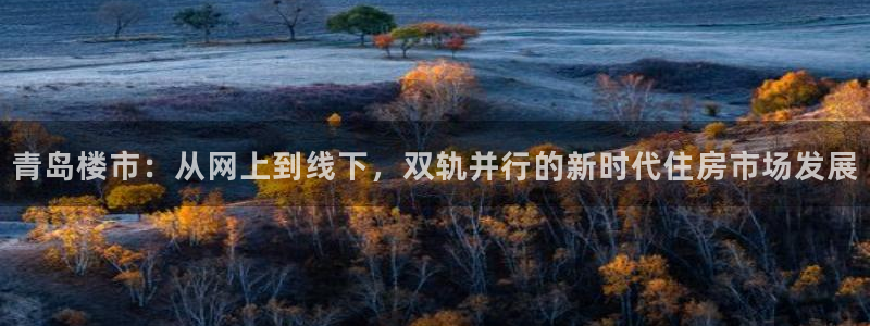 风暴娱乐记：青岛楼市：从网上到线下，双轨并行的新时代住房市场