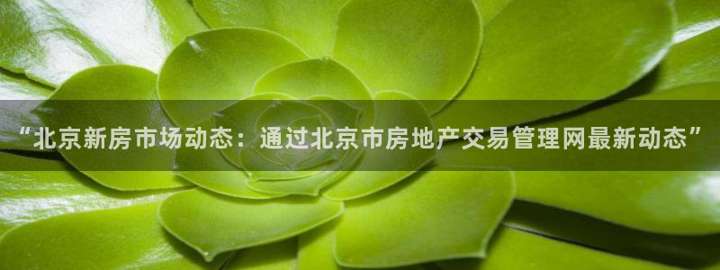 星风暴娱乐：“北京新房市场动态：通过北京市房地产交易管理网最