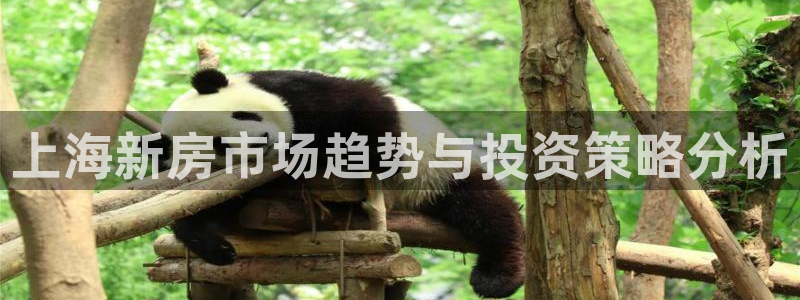 光风暴娱乐