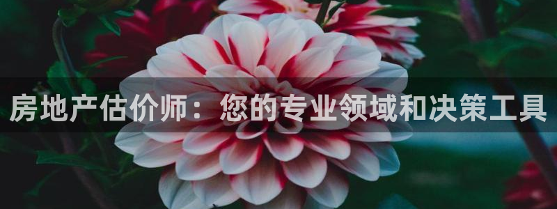 风暴娱乐地5指尖：房地产估价师：您的专业领域和决策工具